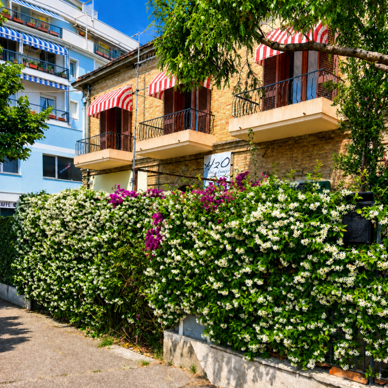 CASA DREMA affitto camere Pescara