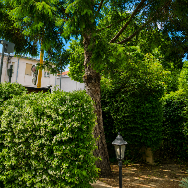 CASA DREMA affitto camere Pescara